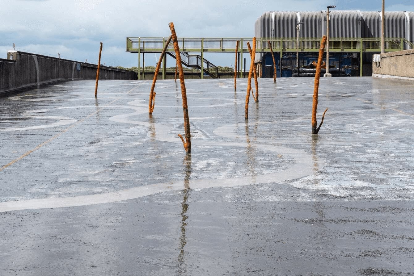 Harpoons dug into the sand at shore